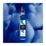 1883-Blue-Curacao-Syrup-1Lt.webp