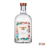 Brogan's Way Everyday Salvation Gin 700ml
