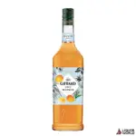 Giffard-Mango-Syrup-1Lt.webp