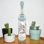 Rey-Campero-Espadin-Mezcal-700ml.webp