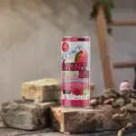 Saint-D9-Double-Sparkling-Peach-9.9-24-x-500mL-Cans.webp