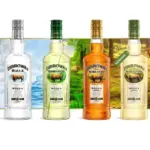 Zubrowka-Sea-Buckthorn-Vodka-500ml-1.webp